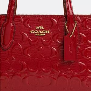 Coach Small Nina Tote Bag in Signature Leather